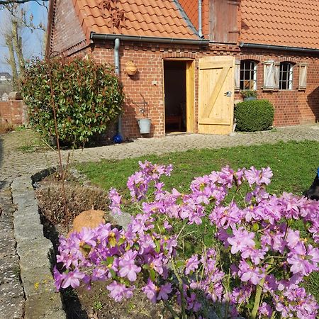 Ferienhaus Voern-Diek Hohnstorf Eksteriør billede